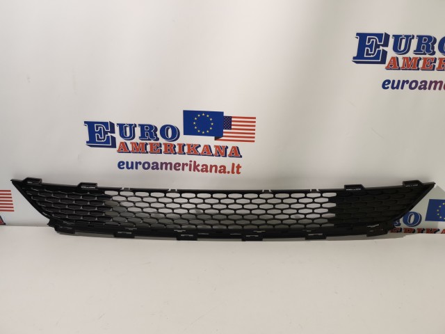 Grille-Lower
